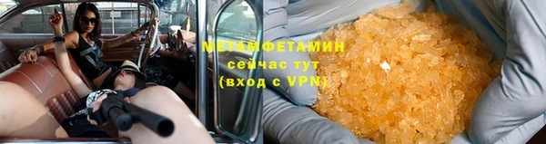 прущие грибы Володарск