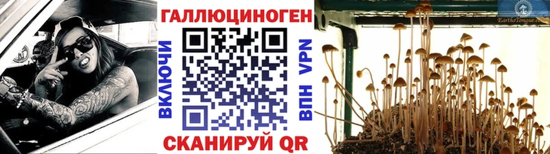 Галлюциногенные грибы мицелий  дарк нет формула  Майский  где купить наркоту 